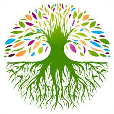 roots
